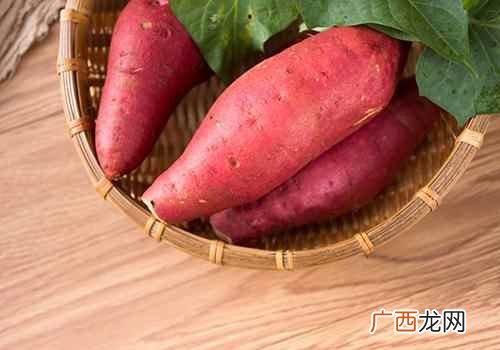 红薯叶有什么叶营养成分 红薯叶属于发物嘛