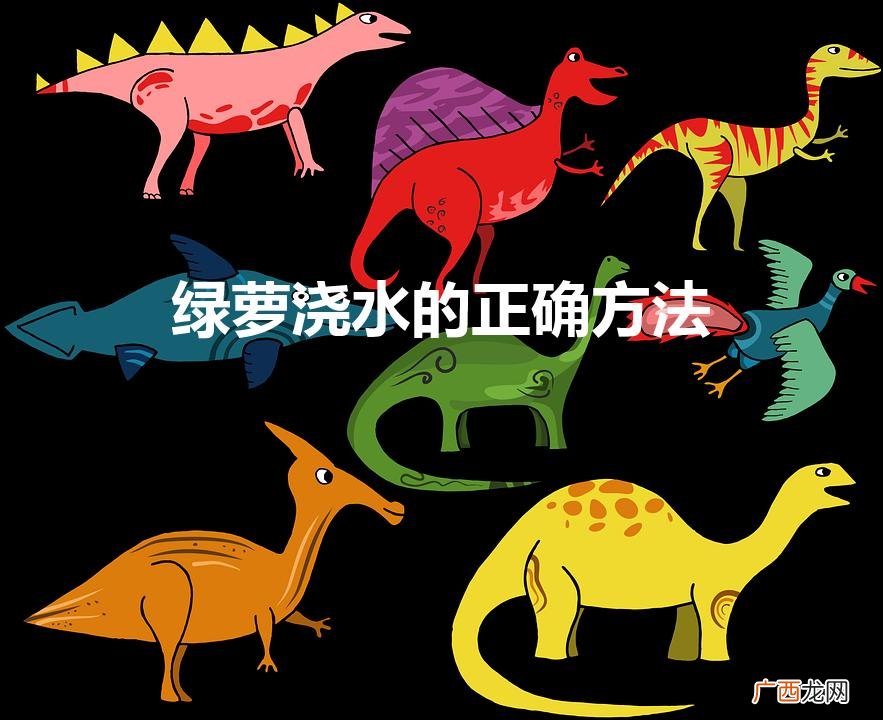 盆栽绿萝怎么浇水 绿萝浇水的正确方法