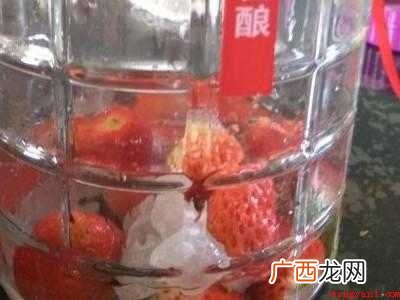 草莓果酒制作方法