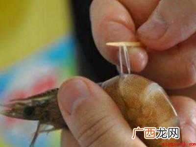 青虾怎么处理干净