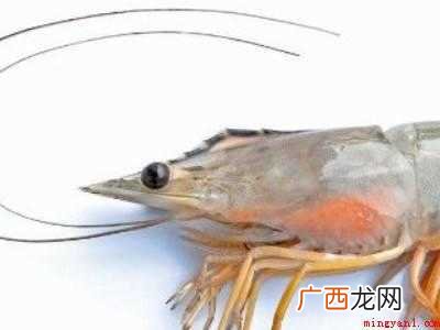青虾怎么处理干净