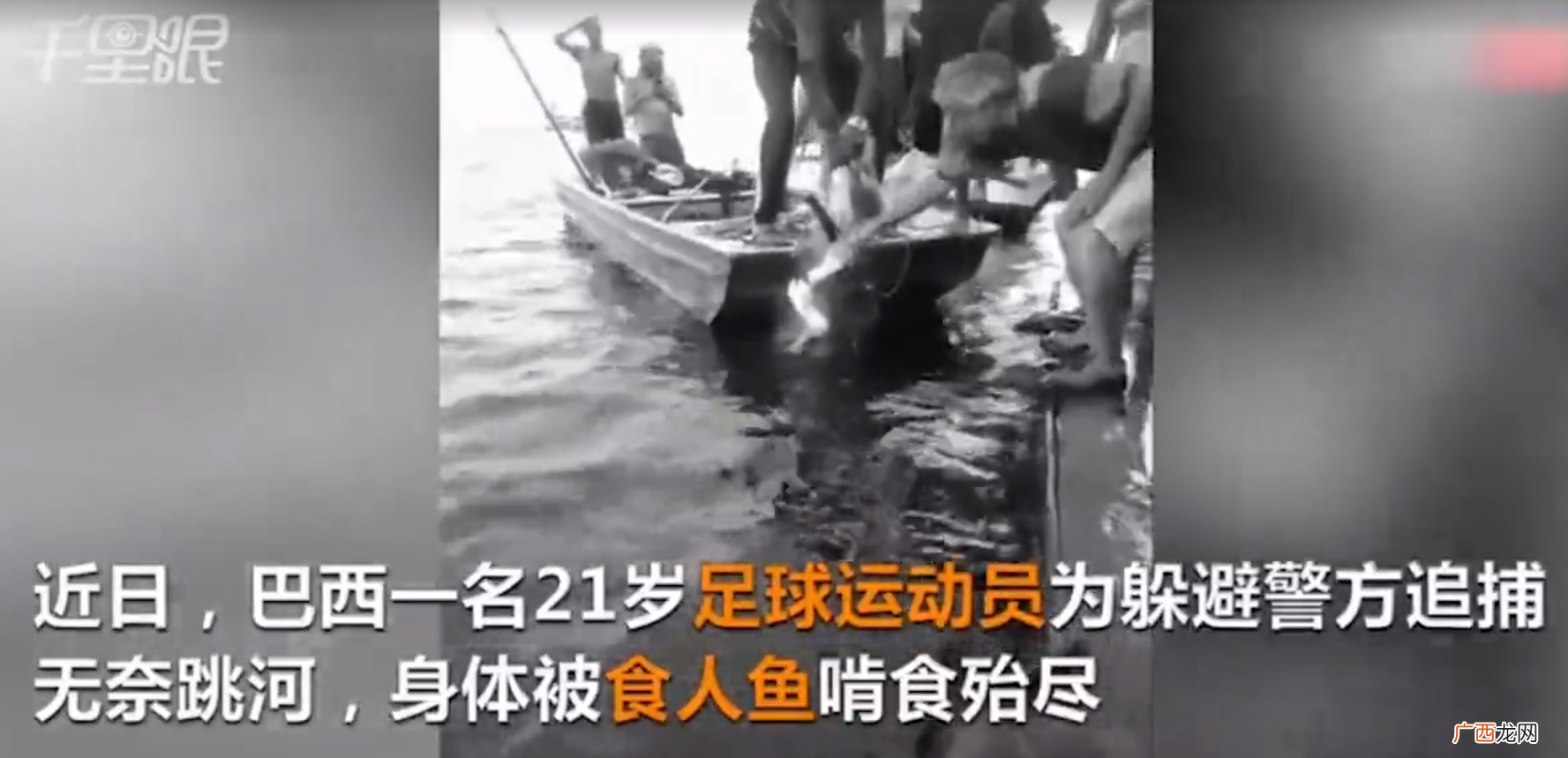 食人鱼有多可怕，没天敌 食人鱼是什么鱼