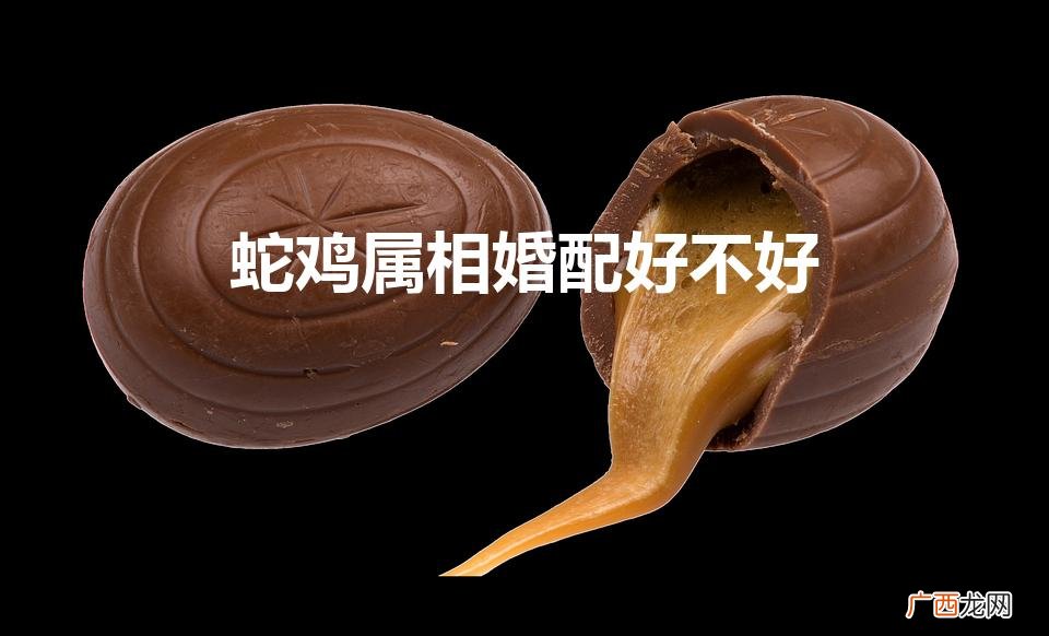 1993年属鸡的姻缘 蛇鸡属相婚配好不好