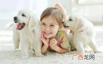 人与狗能同睡一个房间吗 人可以和狗狗一起睡觉吗