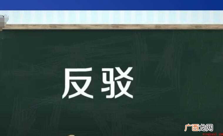 反驳的反义词有哪些