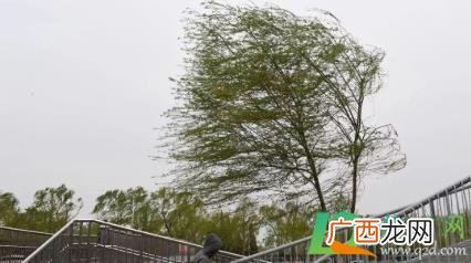 刮风窗户有很大的口哨声怎么解决 刮风窗户有口哨声怎么解决
