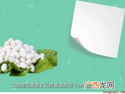 蚕茧怎么保存