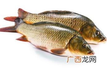 稻花鱼是什么鱼? 稻花鱼是什么鱼