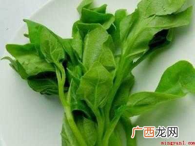 野菠菜怎么吃