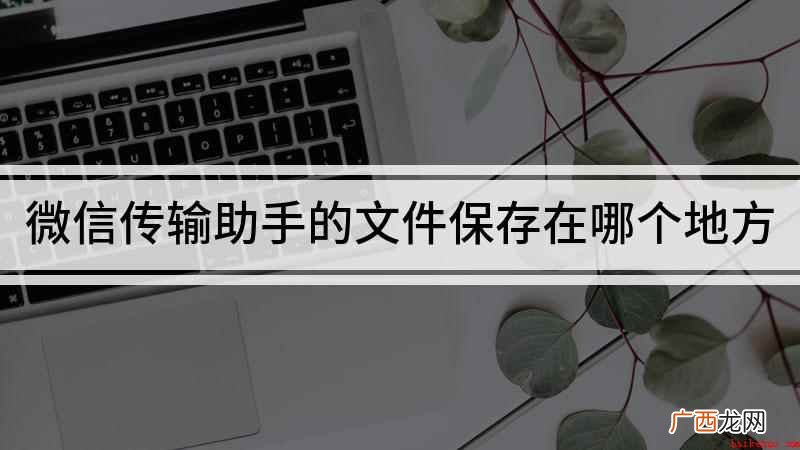 微信传输助手的文件保存在哪 微信传输助手的文件保存在哪个地方
