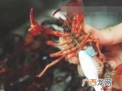 洗小龙虾怎么洗才干净