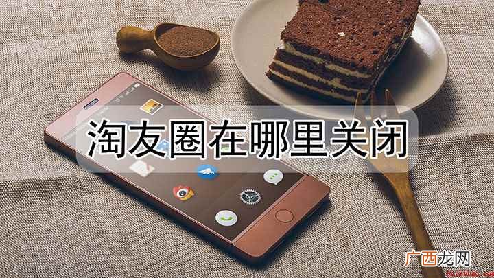 淘友圈在哪里关闭