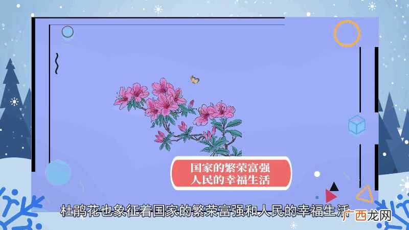 杜鹃花的另一种花语是节制欲望 杜鹃花语