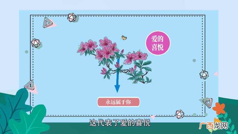 杜鹃花的另一种花语是节制欲望 杜鹃花语