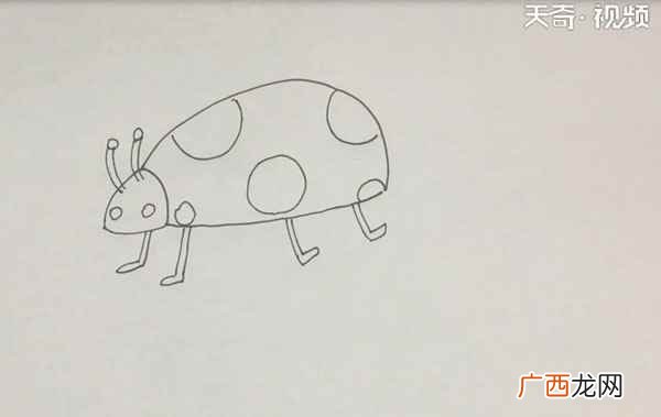 瓢虫简笔画简单又好看 瓢虫简笔画