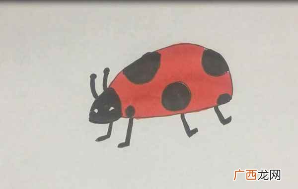 瓢虫简笔画简单又好看 瓢虫简笔画