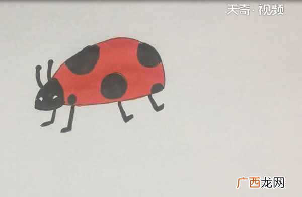 瓢虫简笔画简单又好看 瓢虫简笔画