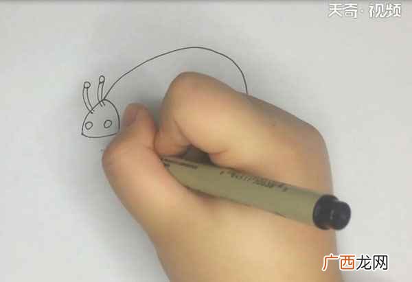 瓢虫简笔画简单又好看 瓢虫简笔画
