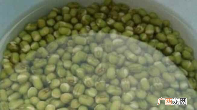 家庭绿豆芽怎么发