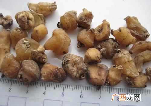 山慈菇的功效与作用 山慈菇的功效与作用及食用方法