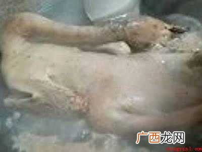 咸鹅怎么烧好吃