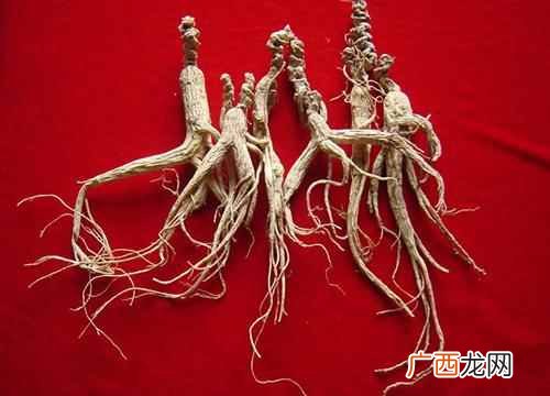 人参酒的功效与作用吃法 人参酒的功效与作用