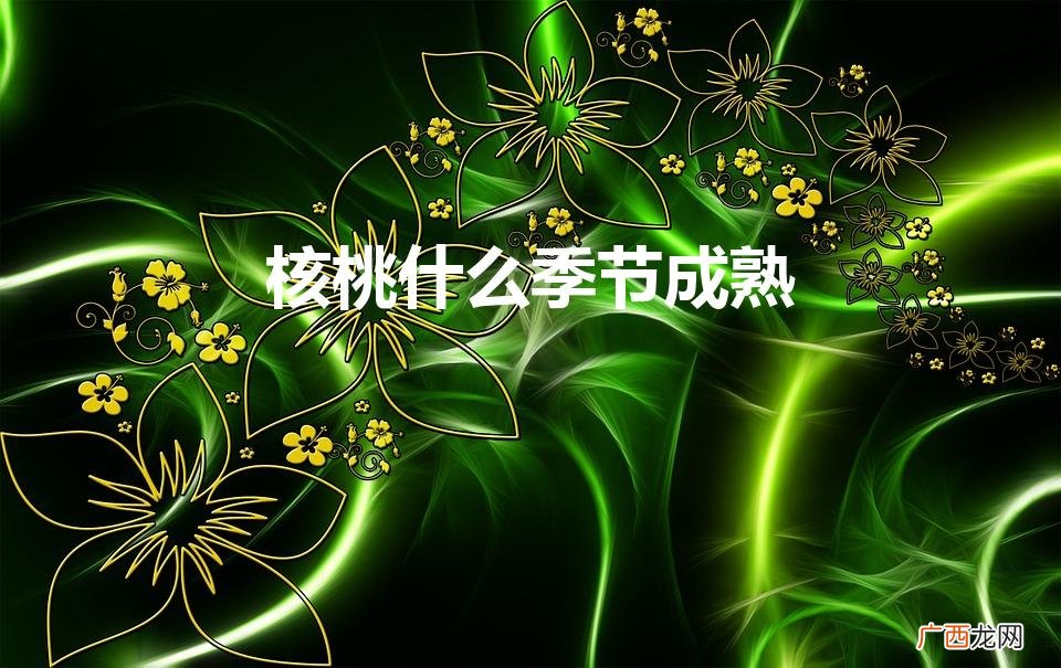 核桃什么季节成熟（核桃什么季节成熟几月份的)