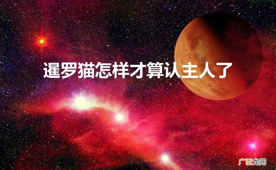 暹罗一般几个月认主人 暹罗猫怎样才算认主人了