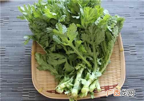 吃茼蒿菜有什么好处和坏处 吃茼蒿菜有什么好处