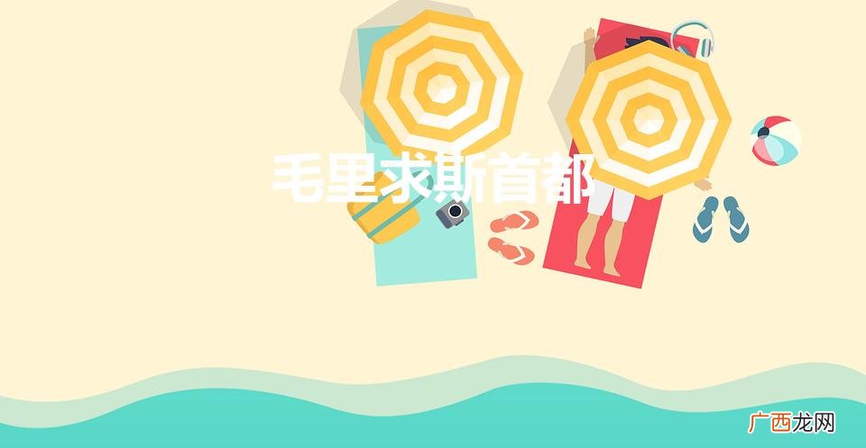 毛里求斯首都（毛里求斯首都经纬度)