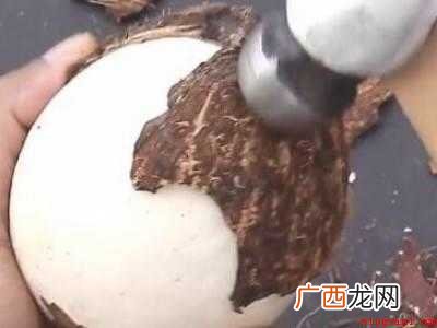 老椰子怎么打开取肉