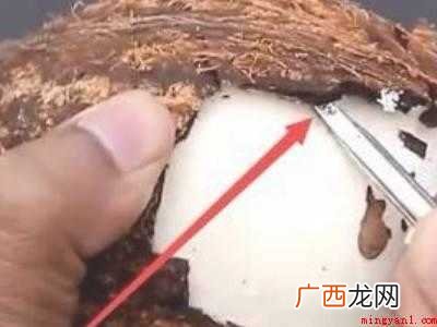 老椰子怎么打开取肉