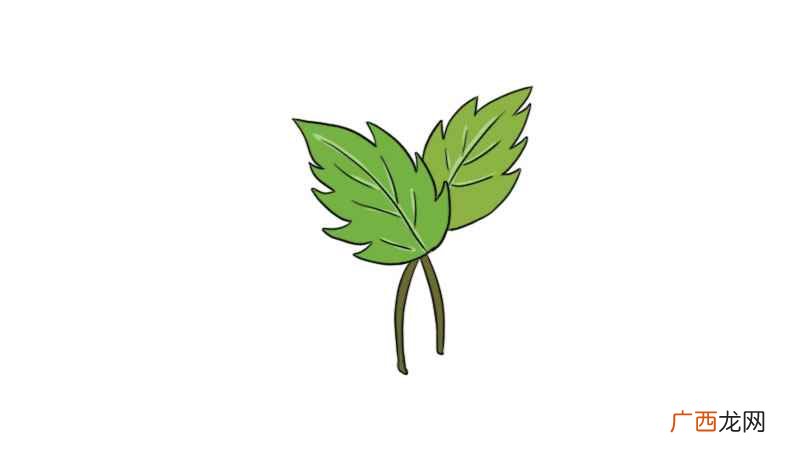 叶子简笔画简单又好看 叶子简笔画