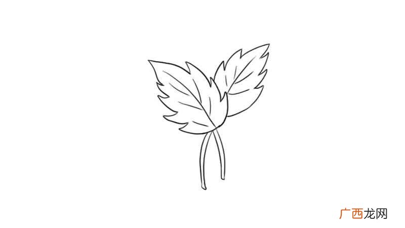 叶子简笔画简单又好看 叶子简笔画