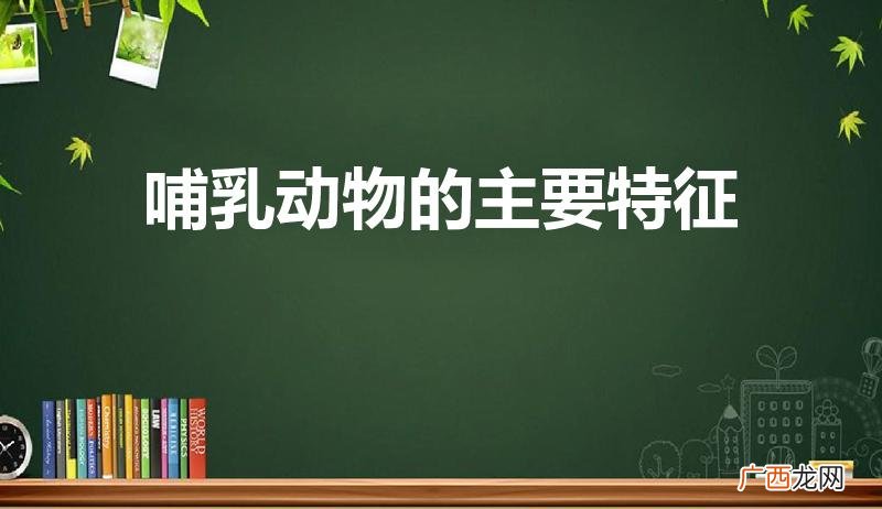 哺乳动物的三大特征 哺乳动物的主要特征
