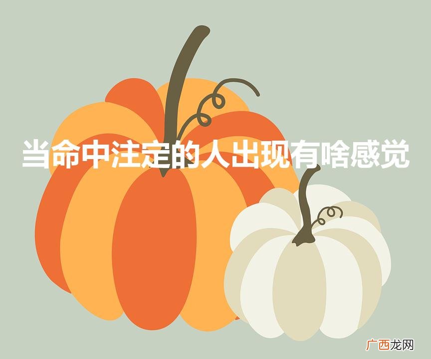 算姻缘什么时候出现 当命中注定的人出现有啥感觉