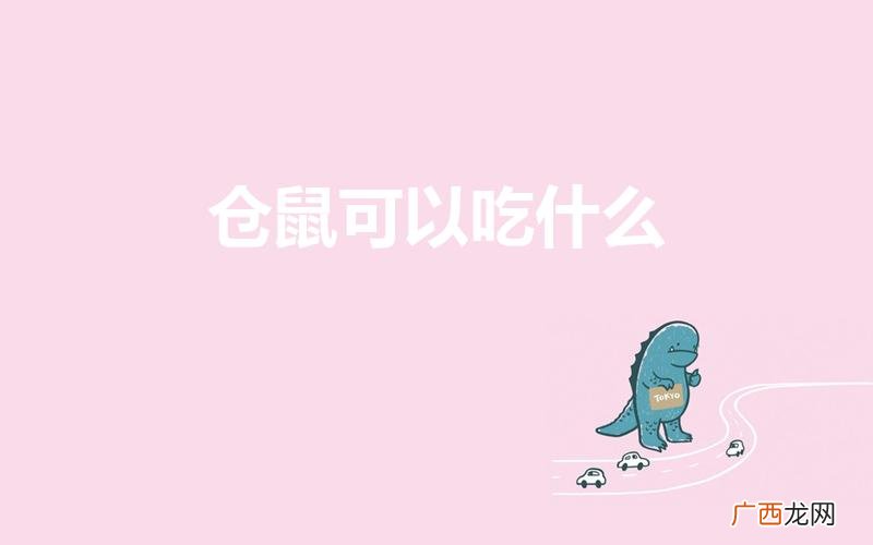 仓鼠可以吃哪些东西 仓鼠可以吃什么