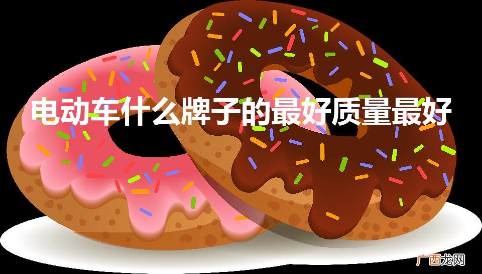 什么品牌的电动车质量比较好 电动车什么牌子的最好质量最好