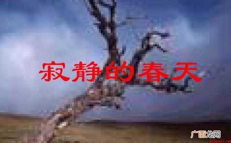 《寂静的春天》读后感怎么写