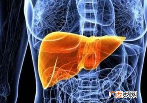 牛油果的功效与禁忌人群 牛油果的功效与禁忌