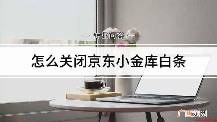 怎么关闭京东小金库白条