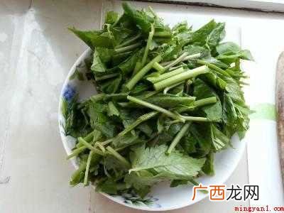 大叶芹炒肉怎么做