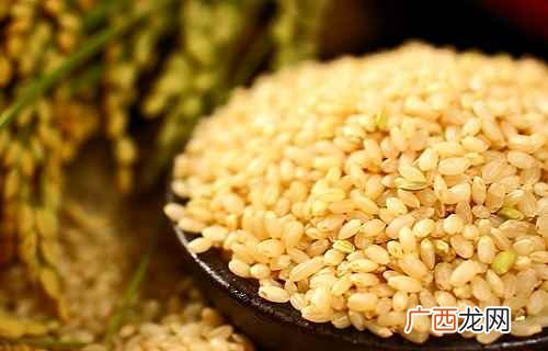 糙米的功效与作用吃法大全 糙米的功效与作用