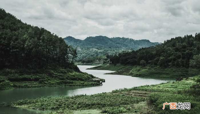 梦见车掉河里的心理学建议 梦见车掉水里