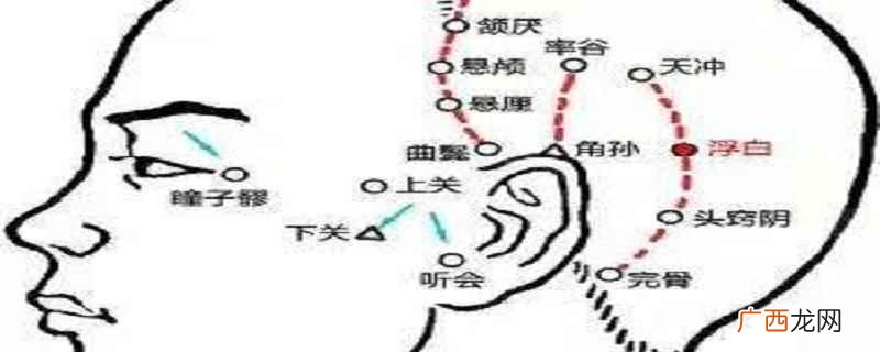 浮白准确位置图和作用 浮白的准确位置图片