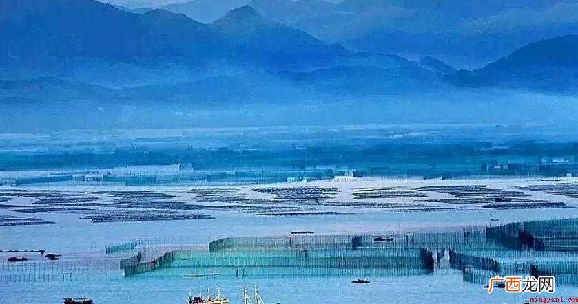 清静的意思是什么