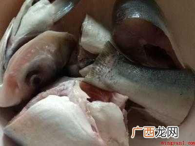 炖鱼头怎么炖