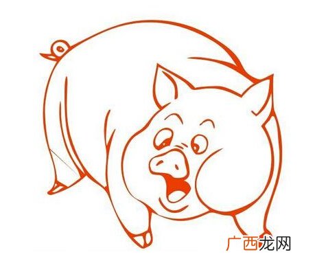 与猪不合的属相罗列 猪和什么属相最不配