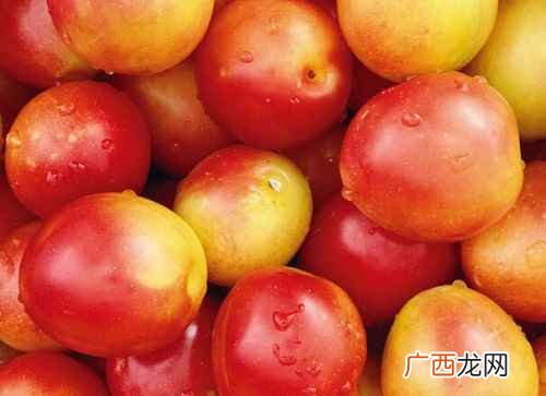 油桃的功效与作用及禁忌是什么呢 油桃的功效与作用及禁忌