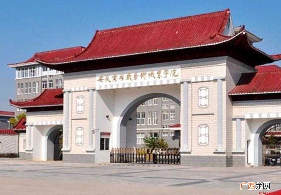 安徽艺术职业学院面积多大